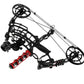 Red Dragon Dual Compound Bow Steels Balls And Arrows